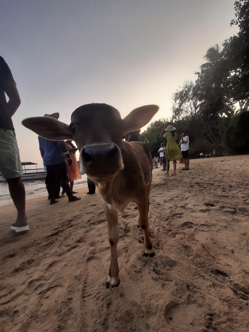 img/21/Gokarna (20).jpg